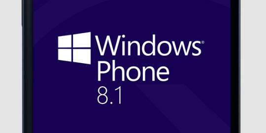 Die inoffizielle Spezifikation erste Smartphone Micromax mit WP 8.1